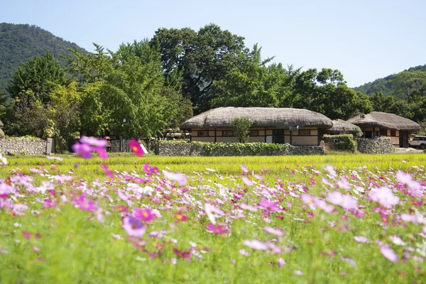 Traditioneel dorp in Zuid-korea — Stockfoto