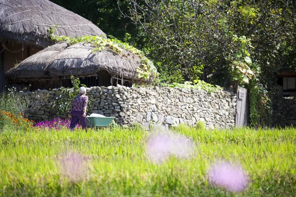 Traditionelles Dorf in Südkorea — Stockfoto