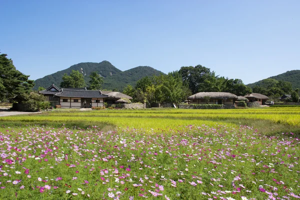 Villaggio tradizionale nella Corea del Sud — Foto Stock