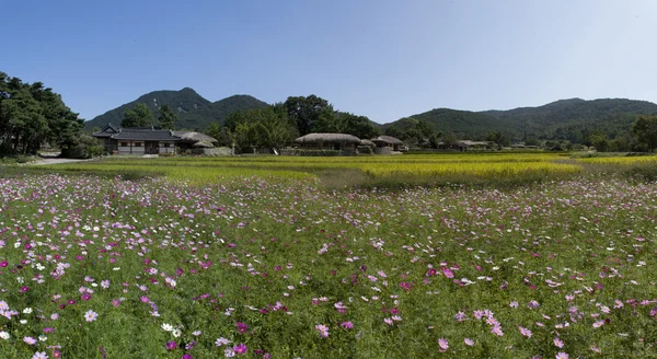 韓国の伝統的な村 — ストック写真