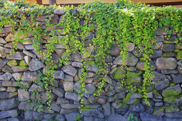 Stenen muur — Stockfoto