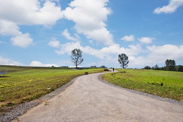 Landschaft in Südkorea — Stockfoto