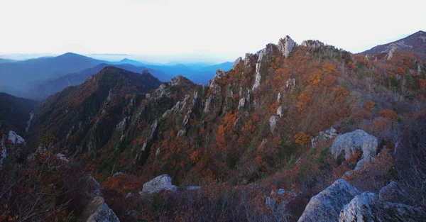 Güney Kore dağlarında — Stok fotoğraf