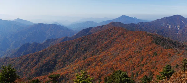 Mountains in South Korea — Stock Photo, Image