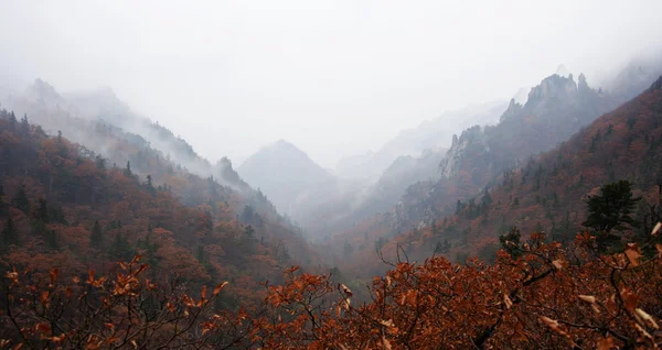 Mountains in South Korea — Stock Photo, Image