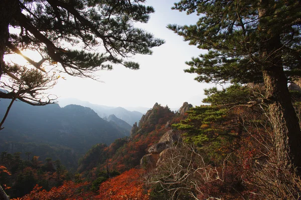 Munți în Coreea de Sud — Fotografie, imagine de stoc