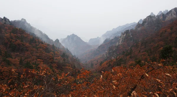 Montagnes en Corée du Sud — Photo