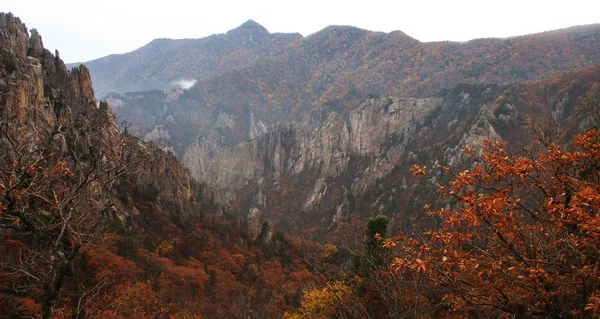 Montanhas na Coreia do Sul — Fotografia de Stock