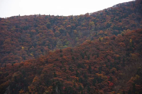 Mountains in South Korea — Stock Photo, Image