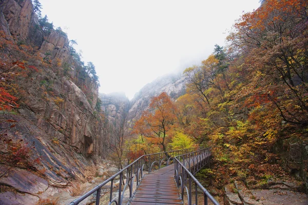 Montanhas na Coreia do Sul — Fotografia de Stock