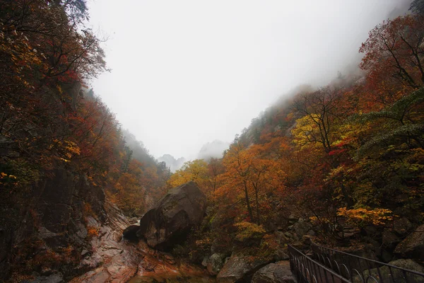 韓国の山 — ストック写真