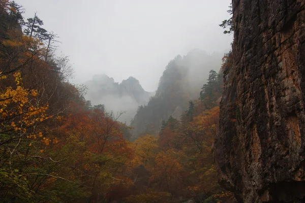 Góry w Korei Południowej — Zdjęcie stockowe