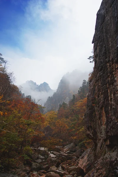 Montagnes en Corée du Sud — Photo