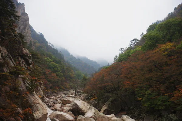 Βουνά στη Νότια Κορέα — Φωτογραφία Αρχείου
