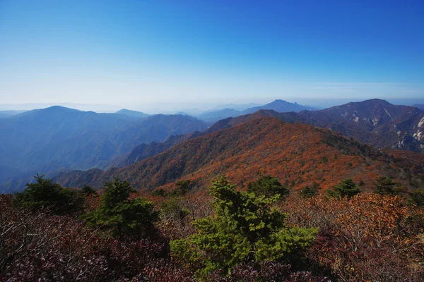 Montagnes en Corée du Sud Images De Stock Libres De Droits