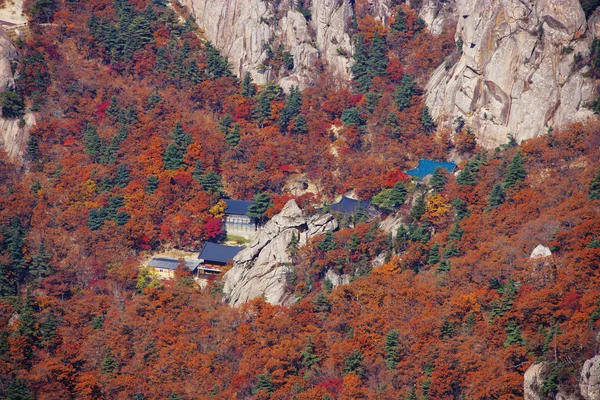 Bergen in Zuid-korea Rechtenvrije Stockfoto's