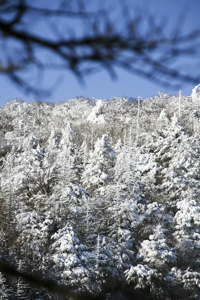 Winter bergen — Stockfoto