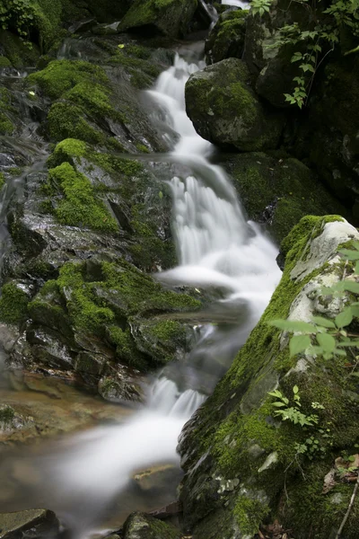 Cascata — Foto Stock