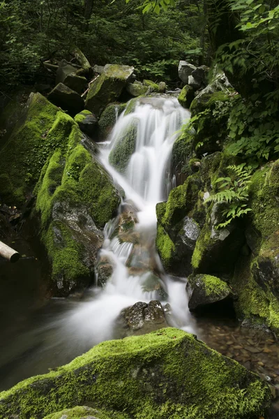 Şelale — Stok fotoğraf