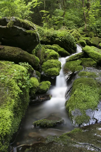 Vattenfall — Stockfoto