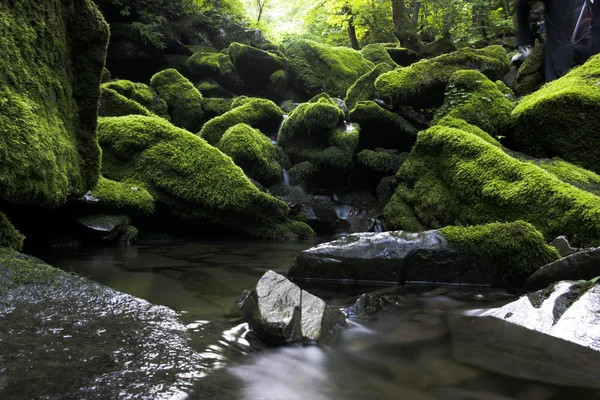 Wasserfall — Stockfoto