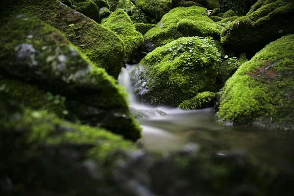 Wasserfall — Stockfoto