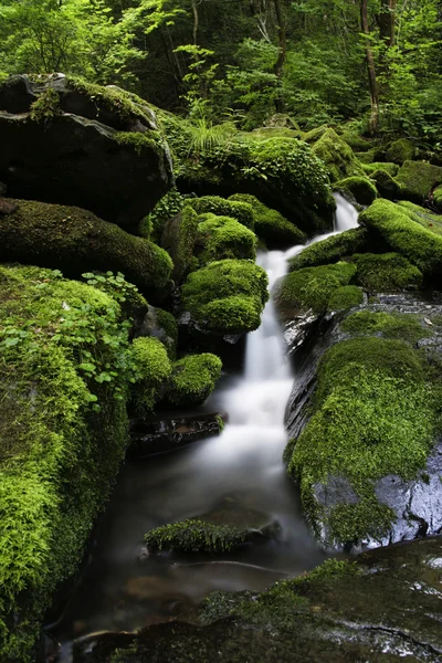 Wasserfall — Stockfoto