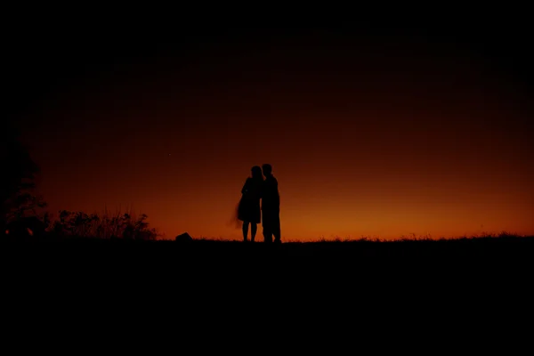 Ciel nocturne avec les silhouettes Photos De Stock Libres De Droits