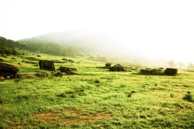 Dolmen mezarlığı
