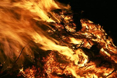 Dolunay Festivali