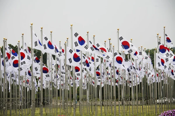 Corée du Sud Drapeaux — Photo