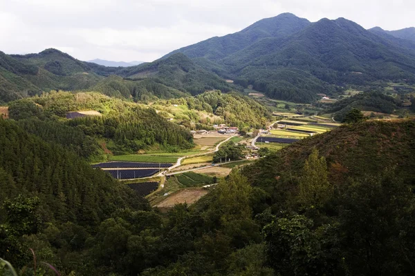 田園風景 — ストック写真