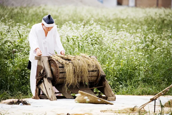 Doll of a farmer — Stock Photo, Image