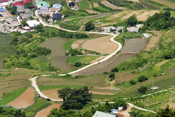 Bela paisagem rural — Fotografia de Stock