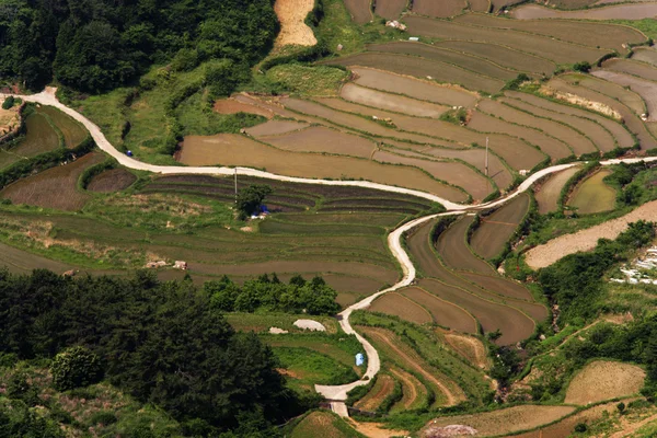 美丽乡村景观 — 图库照片