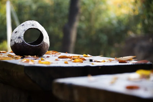 Höst löv på träbordet — Stockfoto