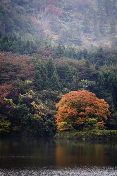 Lago Jusanji — Foto de Stock