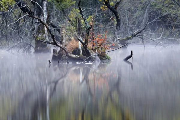 美しい Jusanji 湖の秋の風景 — ストック写真