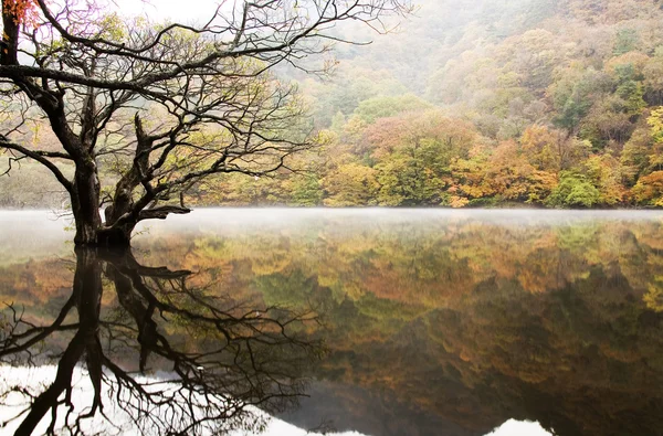 Herbstlandschaft mit wunderschönem Jusanji-See — Stockfoto