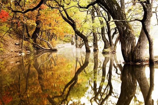 Herbstlandschaft mit wunderschönem Jusanji-See — Stockfoto