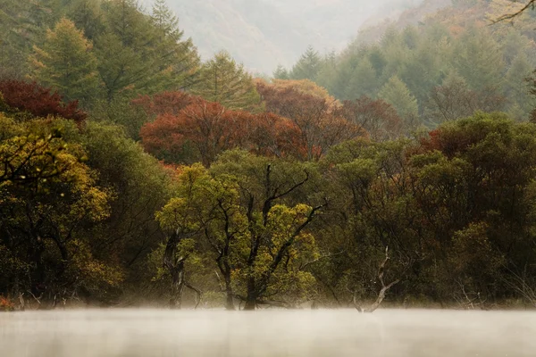 美しい Jusanji 湖の秋の風景 — ストック写真