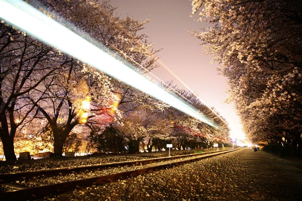 Nacht uitzicht van railroad tracks — Stockfoto