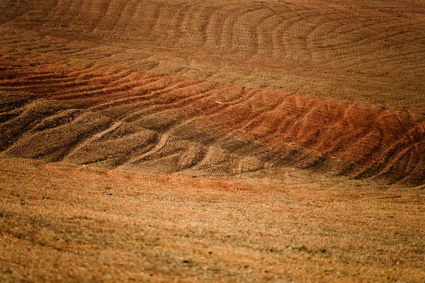 Tire tracks on the off road — Stock Photo, Image