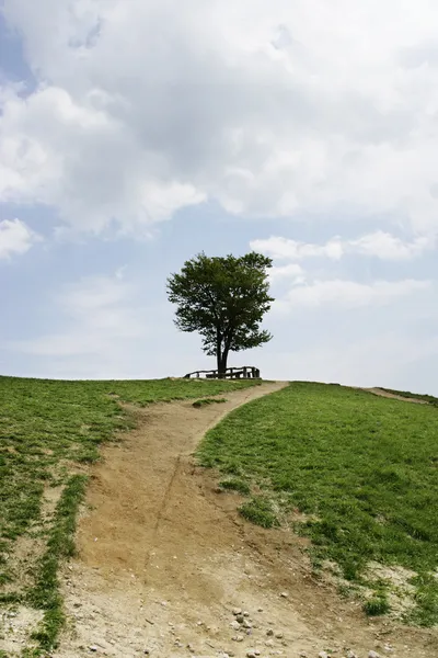 Samyang Ranch — Stockfoto