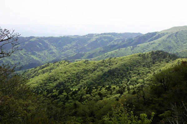 Samyang  Ranch — Stock Photo, Image