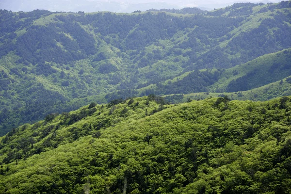 Samyang Ranch — Stockfoto