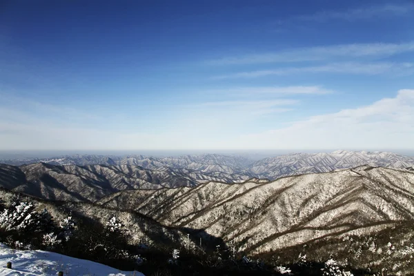 Winter bergen odaesan — Stockfoto