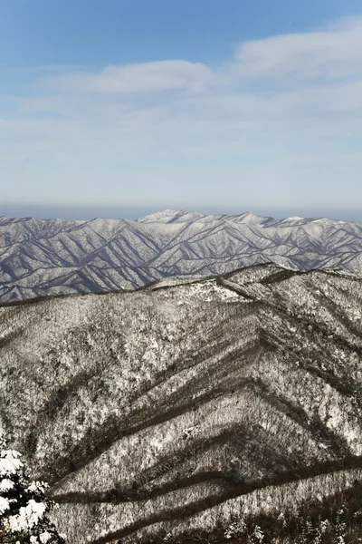 Montanhas de inverno Odaesan — Fotografia de Stock