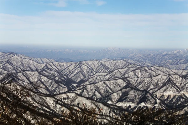 Winter bergen odaesan — Stockfoto