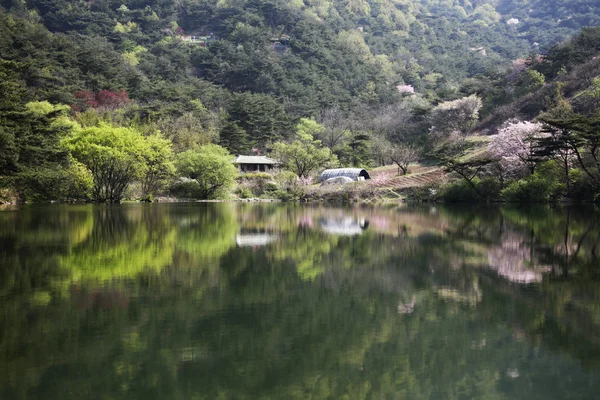 Piękną wiosnę krajobraz jeziora seryangji — Zdjęcie stockowe